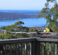 Bed in the Treetops BB - Hobart Tourism