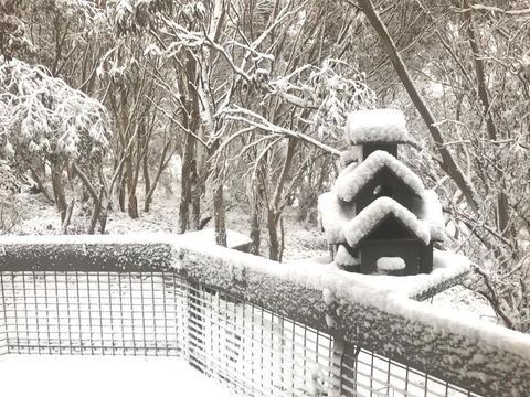 Belltrees - Tourism TAS 1
