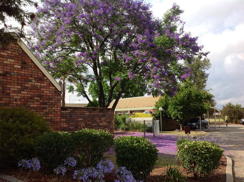 Belvoir Village Motel & Apartments Wodonga - Tourism TAS 0