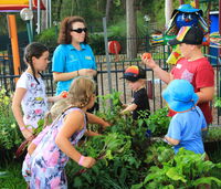 Book Lemon Tree Passage Accommodation Vacations Tourism TAS Tourism TAS