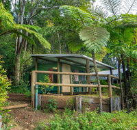 Binna Burra Rainforest Campsite - Hobart Tourism