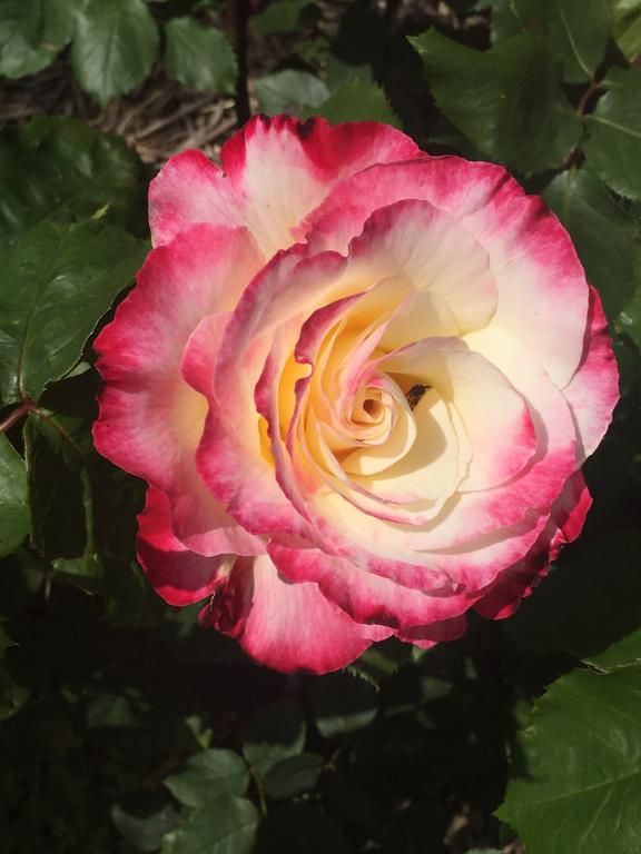 Yarck VIC Hobart Tourism