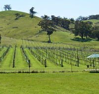 Blue House at Mountainside Wines - Tourism TAS
