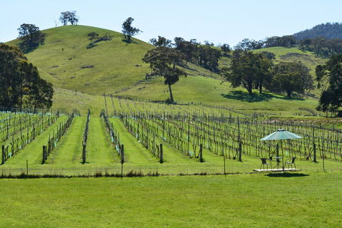 Blue House At Mountainside Wines - Tourism TAS 0