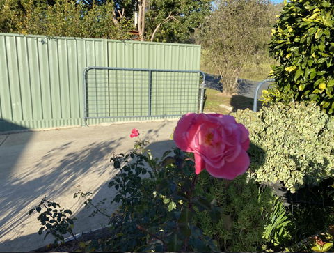 Blue Manor On Fairway - Tourism TAS 2