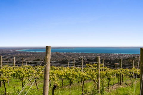 Blue Range Estate Villas - Tourism TAS 3