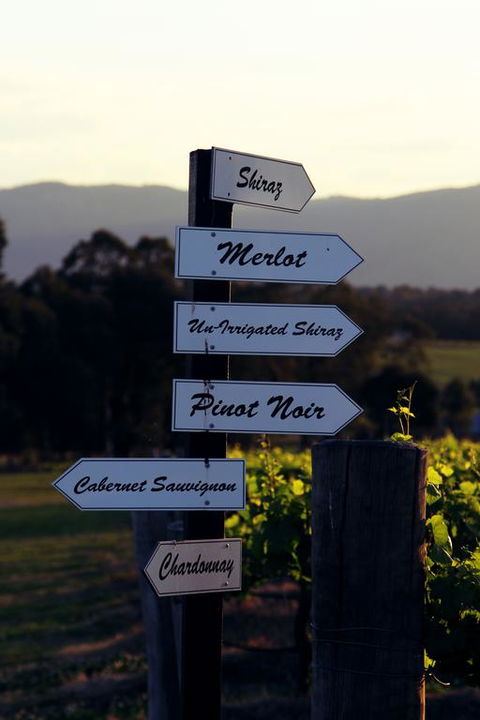 Blueberry Hill Vineyard Villa - Hobart Tourism 3