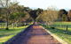 Blueberry Hill Vineyard Villa - thumb 0