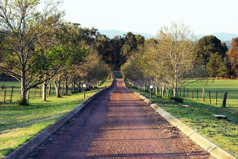 Blueberry Hill Vineyard Villa - Hobart Tourism 0