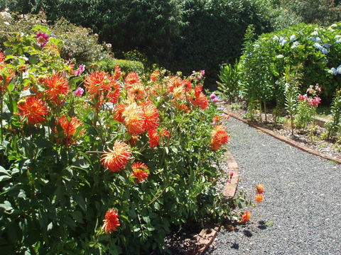 Boat Harbour Garden Cottages - Hobart Tourism 0