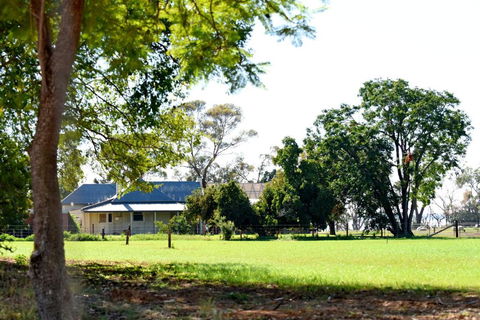 The Jetty Hut - Lake Frontage Barmera Riverland - Hobart Tourism 2