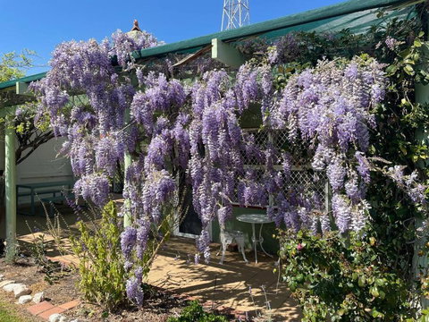 The Merredin Treasury Cottage - Tourism TAS 1