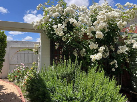 The Merredin Treasury Cottage - Tourism TAS 2