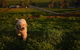 Wantana Cottage Farmstay - thumb 2