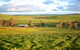 Wantana Cottage Farmstay - thumb 1
