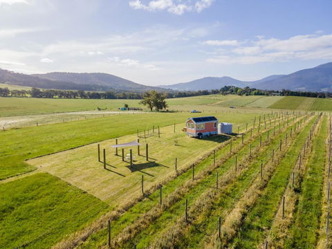 Warburton Tiny House - Tiny Stays - Hobart Tourism 2
