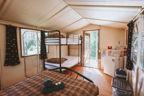 BIG4 Breeze Holiday Parks - Carnarvon Gorge - Hobart Tourism 1