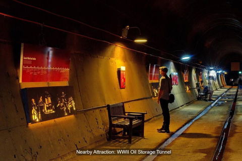 ZEN BY THE OCEAN - 1-BR Executive Biz Retreat - Tourism TAS 3