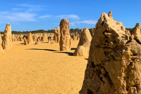 Pinnacles Desert (Private) Day Tour - Hobart Tourism 0
