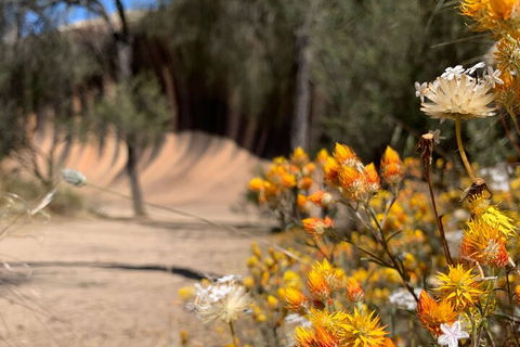 The Big Wave Rock (Private) Day Tour - Hobart Tourism 3