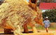 The Big Wave Rock (Private) Day Tour - thumb 5