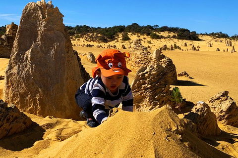 Perth Kids Explorer (Private) Day Tour - Tourism TAS 3