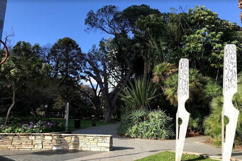 Perth Scavenger Hunt: Perched On A Swan - Hobart Tourism 2