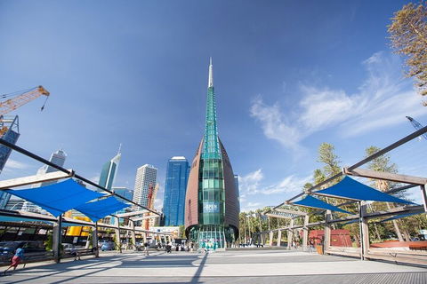 Perth Scavenger Hunt: Perched On A Swan - Hobart Tourism 3