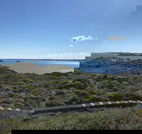 Penguin Island And Fremantle - Canoe Chocolate  Coffee - Hobart Tourism