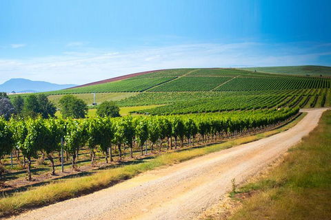 Full Day Tamar Valley Wine Tour - Hobart Tourism 1