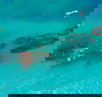 Private Tangalooma Wrecks Tour - Tourism TAS