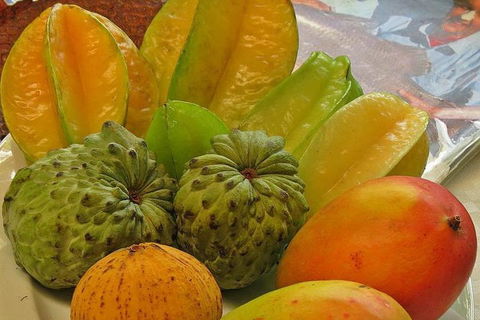 Cairns 4WD Waterfall And Rainforest Tour Including Kuranda Scenic Railway - Tourism TAS 4