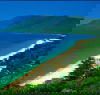 Cairns Reef and Rainforest Combo Daintree Rainforest and the Great Barrier Reef - Tourism TAS
