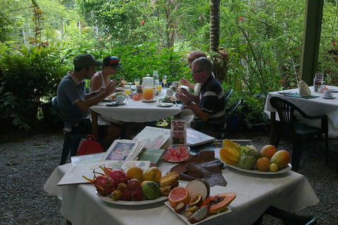 Cairns Reef And Rainforest Combo: Daintree Rainforest And The Great Barrier Reef - Hobart Tourism 3