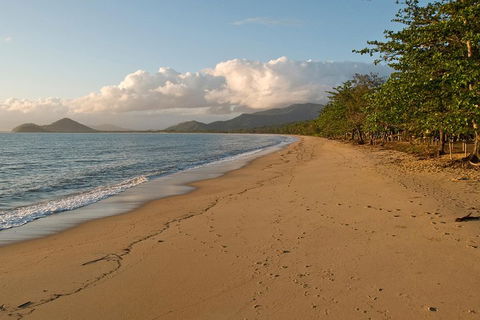 Cairns Reef And Rainforest Combo: Daintree Rainforest And The Great Barrier Reef - Hobart Tourism 4