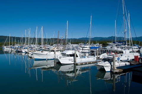 Cairns Reef And Rainforest Combo: Daintree Rainforest And The Great Barrier Reef - Hobart Tourism 5