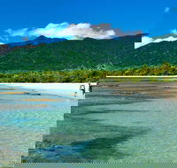 Private Daintree National Park Day Tour from Cairns Including Cape Tribulation and Mossman Gorge - Hobart Tourism