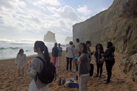 Great Ocean Road Full Day Private Experience - Hobart Tourism 4