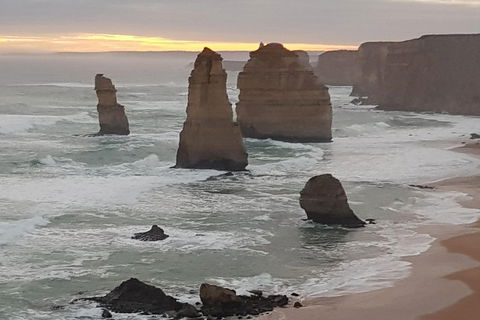 Private Express Experience - 12 Apostles - Hobart Tourism 1