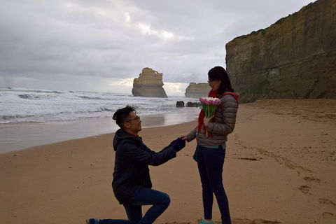 Private Express Experience - 12 Apostles - Hobart Tourism 2