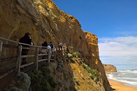 Private Express Experience - 12 Apostles - Hobart Tourism 3