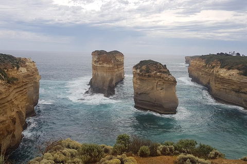 Private Express Experience - 12 Apostles - Hobart Tourism 5