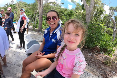 Whitehaven Beach Day Tour With Snorkel In Whitsundays Island - Hobart Tourism 1