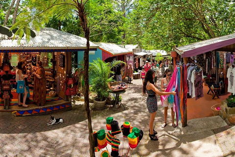 Kuranda Day Trip From Port Douglas Upgrade To Skyrail & Scenic Train Available - Tourism TAS 2