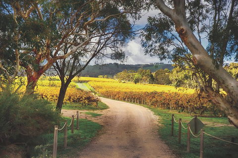 McLaren Vale Winery Small Group Tour With Wine Tasting And Lunch - Tourism TAS 1