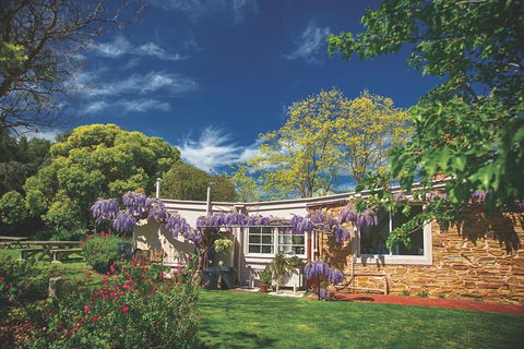 McLaren Vale Winery Small Group Tour With Wine Tasting And Lunch - Tourism TAS 2