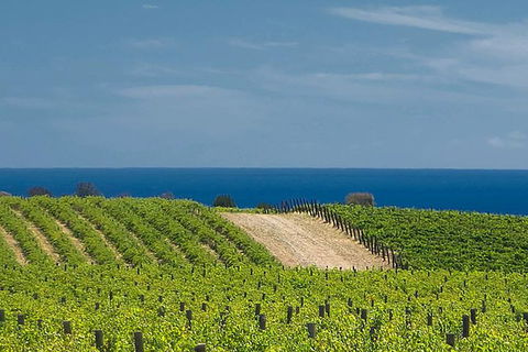 McLaren Vale Winery Small Group Tour With Wine Tasting And Lunch - Tourism TAS 4