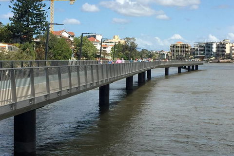 Brisbane City Highlights With Lone Pine! - Hobart Tourism 1
