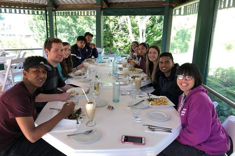 Natural Bridge, Skywalk And Mt Tamborine Adventure! - Tourism TAS 0