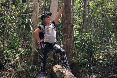 Natural Bridge, Skywalk And Mt Tamborine Adventure! - Tourism TAS 3